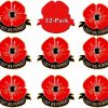 rhungift 12 Pack Metal Poppy Flower Pins Veterans Day Pins Memorial Day Lapel Pin Souvenir Brooch Badge Hot