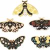 ulricar Ulricar 5Pcs Butterflys Enamel Pins Moth Butterfly Insect Brooches Metal Enamel Pin Colorful Flower Leaf Pattern On The Wings Badges For Diy Steampunk Badge Jewelry Hat Scarf Decorations New