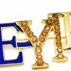 Youngsome Sigma Gamma Rho Sorority Society Symbol Poodle Ee-Yip Letter Label Enamel Metal Brooch Pin Clearance