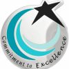 PinMart Pinmart'S Commitment To Excellence Recognition Service Star Lapel Pin Wholesale