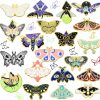 MTLEE Mtlee 20 Pieces Butterfly Pins Set Moth Pins Cute Christmas Backpacks Lapel Pins Kawaii Pins Aesthetic Brooches Badges Gift Cartoon Pins For Steampunk Hats Jackets Jewelry For Women Clothing New