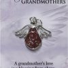 Ganz Ganz Angel Of Grandmothers Tac Pin With Story Card New