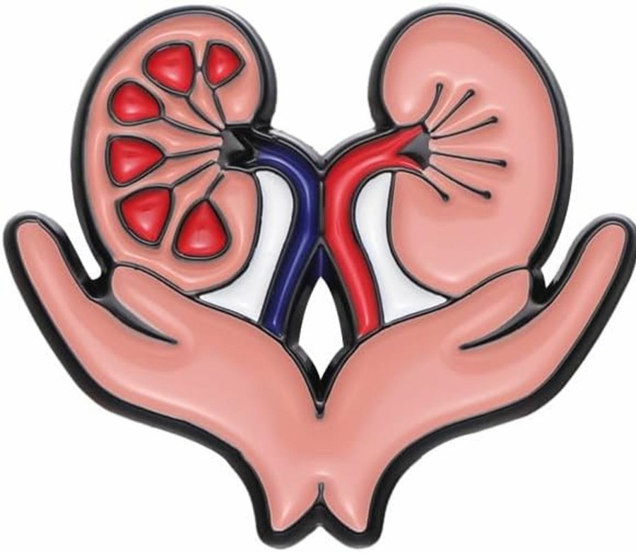 Warp United Kidney Anatomy Enamel Brooch Pin For Medical Student Doctor Nurse Urology Nephrology Online