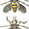 RINHOO FRIENDSHIP Cute Honeybee Animal Insect Brooches Pin Colorful Crystal Rhinestones Bee Shape Corsages Scarf Clips Jewelry For Women Girls New