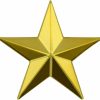 PinMart Pinmart'S Military 3D 5 Point Gold Star Lapel Pin Hot