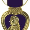 Mitchell Proffitt Purple Heart Medal 1\" Lapel Pin Online