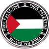 ZENRUIMING 2 Free Palestine Brooches, Palestinian Flag Pins, Metal Alloy Badge Accessories New