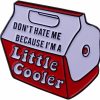 hwojjha Hwojjha Don'T Hate Me Because I'M A Little Cool Words Enamel Pin Socially Awkward Badge Bag Clothes Lapel Pin Punk Jewelry Gift For Friends Online