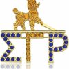 Keeblon Rhinestone Sgrho Sorority Brooch Pin For Women Sigmaa Gamma Rho Gift Greek Sorority Jewelry Paraphernalia Gift For Soror Best